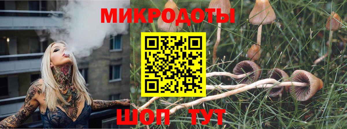 Галлюциногенные грибы мухоморы Вологда