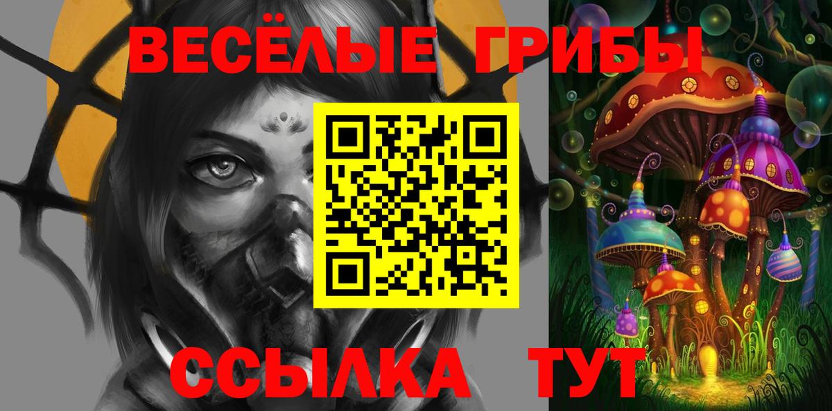 Галлюциногенные грибы ЛСД  Псилоцибиновые грибы Psilocybe  Вход с VPN  Вологда 